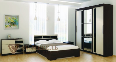 Шкаф-купе  № 11 2.0 м